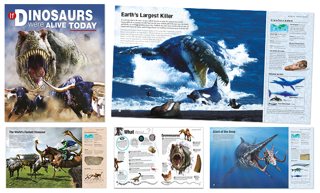 Examples of book packaging and design